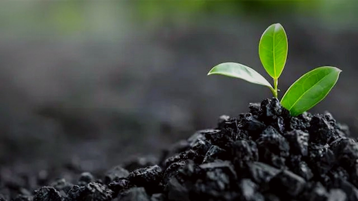 Biochar Series