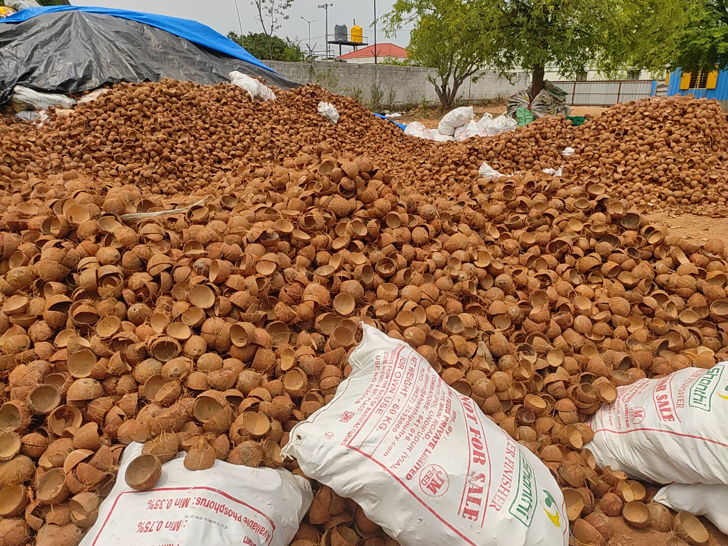 Coconut Shell Supply Chain — Tamil Nadu, Kerala, Karnataka