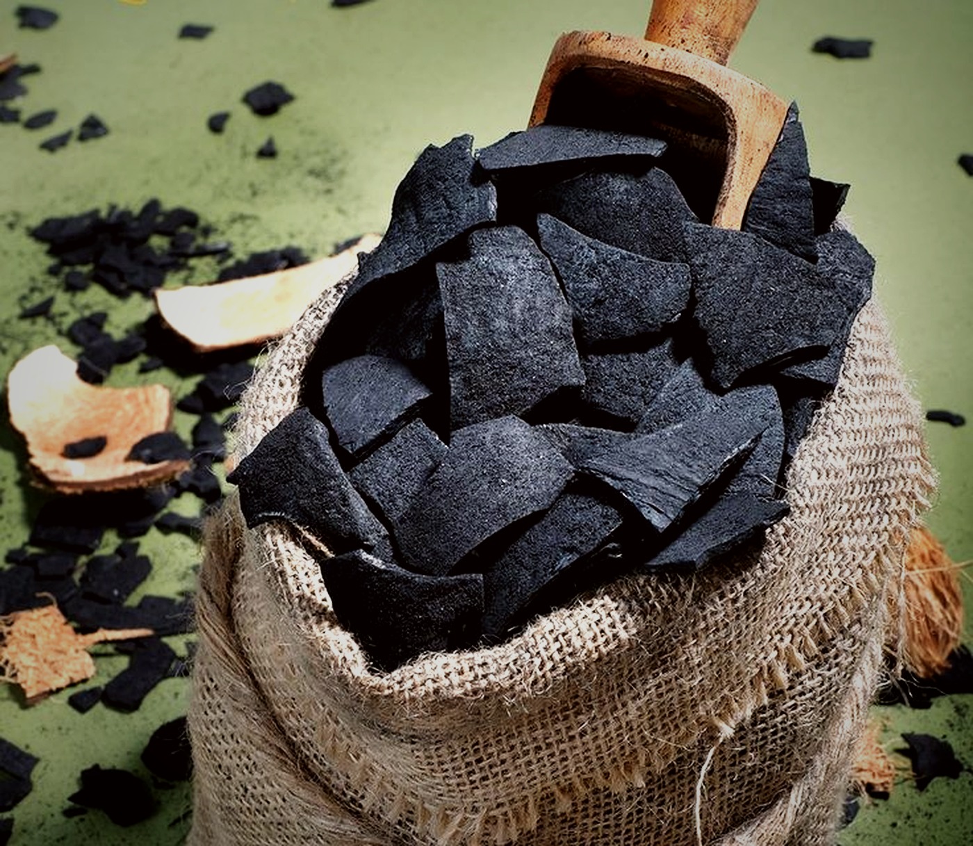 Coconut Shell Biocarbon