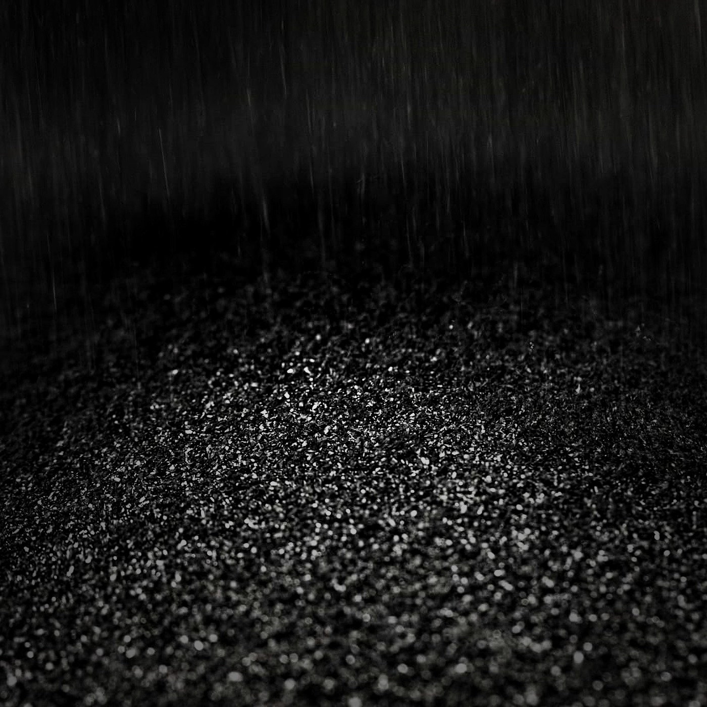 Biochar Powder — Soil Amendment